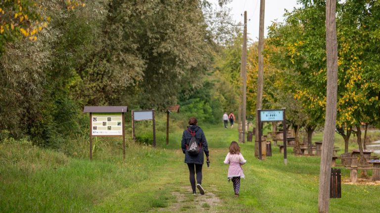 Značaj obiteljskih aktivnosti za zdravlje